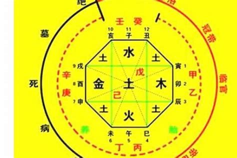 八字喜用神怎麼看|免費查八字喜用神，免費測喜用神，免費查五行喜用神，喜用神怎。